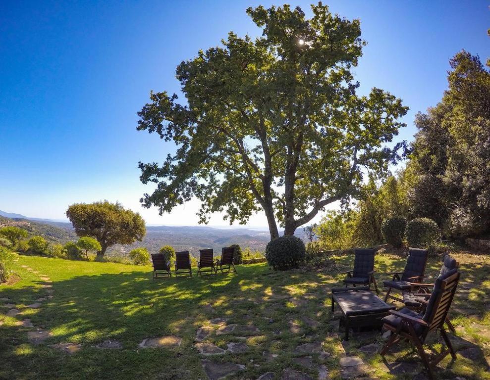 Domaine Du Bois D'Amont Appartement Cabris Buitenkant foto